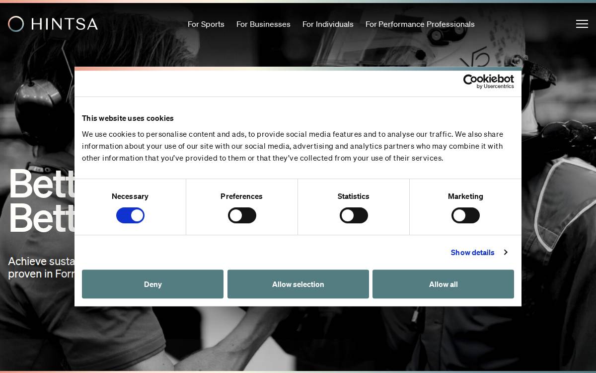 Hinsta website preview