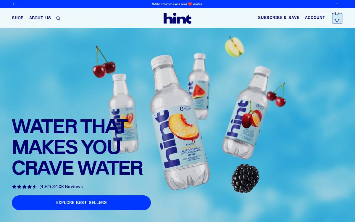 Hintwater website preview