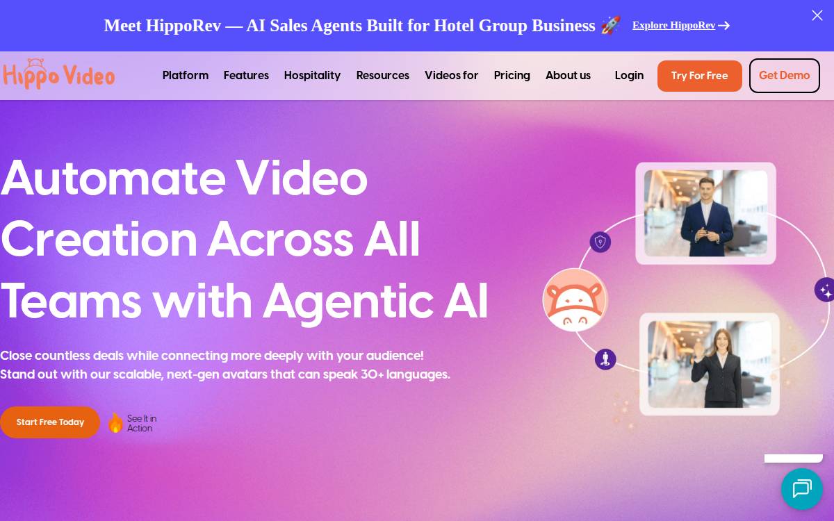 Hippo Video website preview