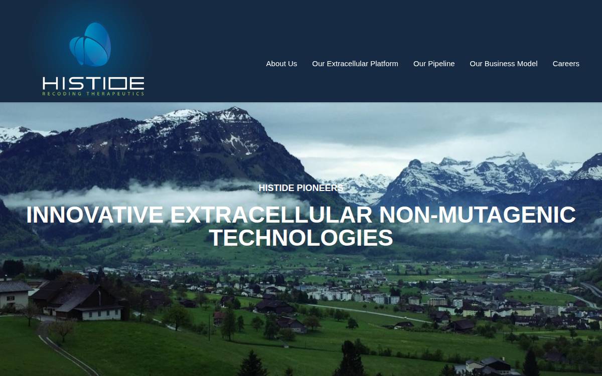 Histide website preview