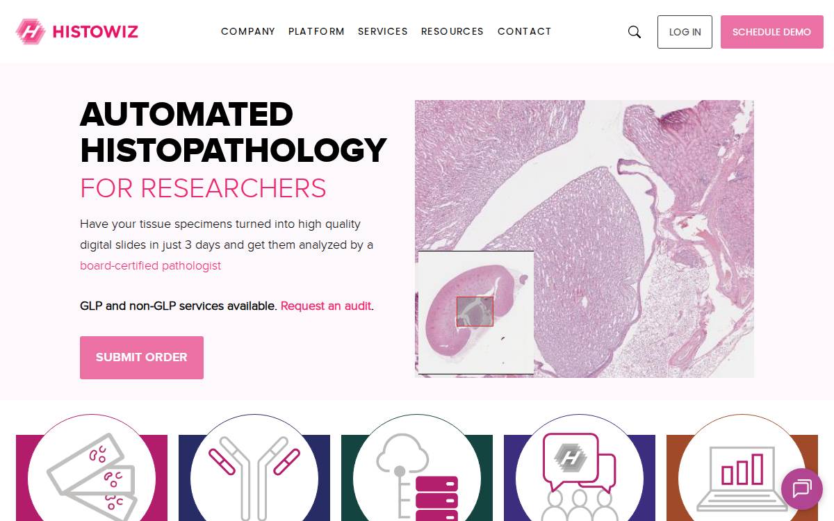 HistoWiz website preview