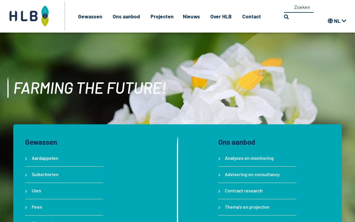 HLB BV website preview