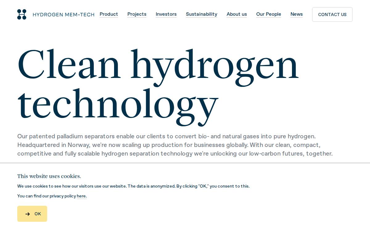 HMT website preview
