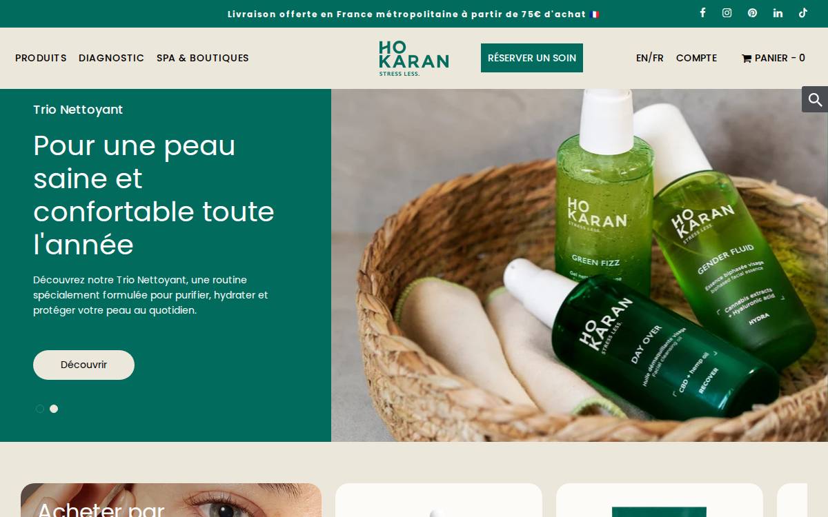 Ho Karan website preview