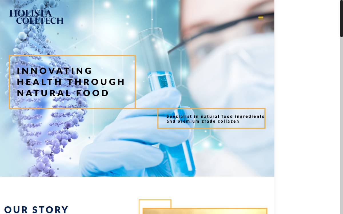 Holistaco website preview