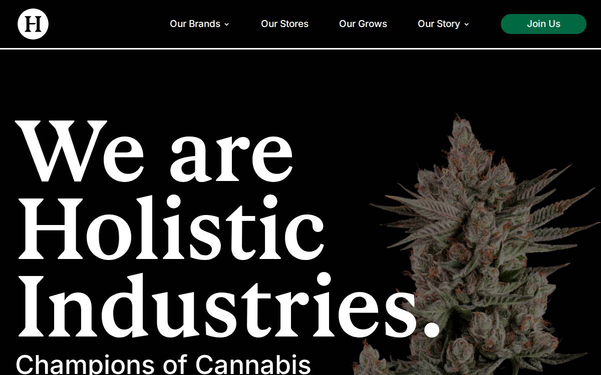 Holistic Industries website preview