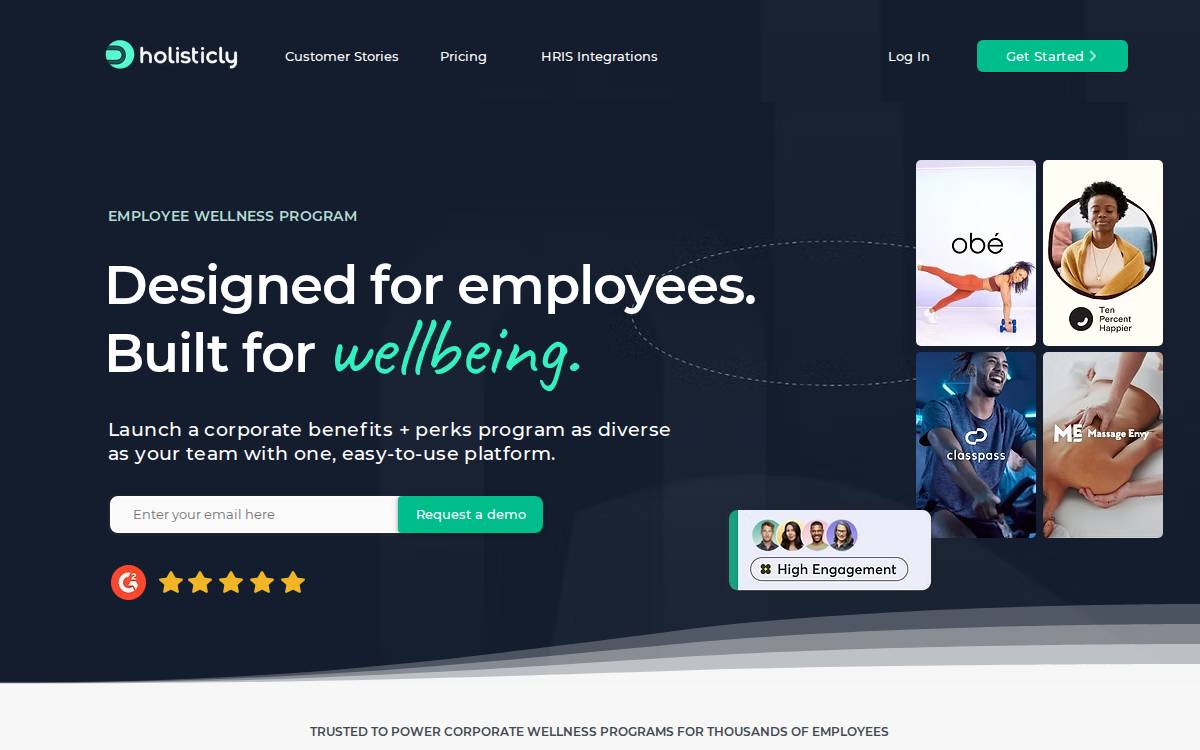 Holisticly website preview