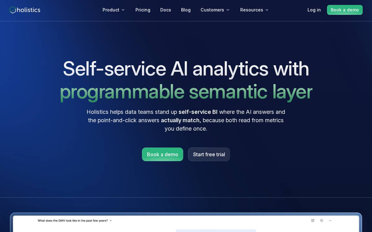 Holistics website preview