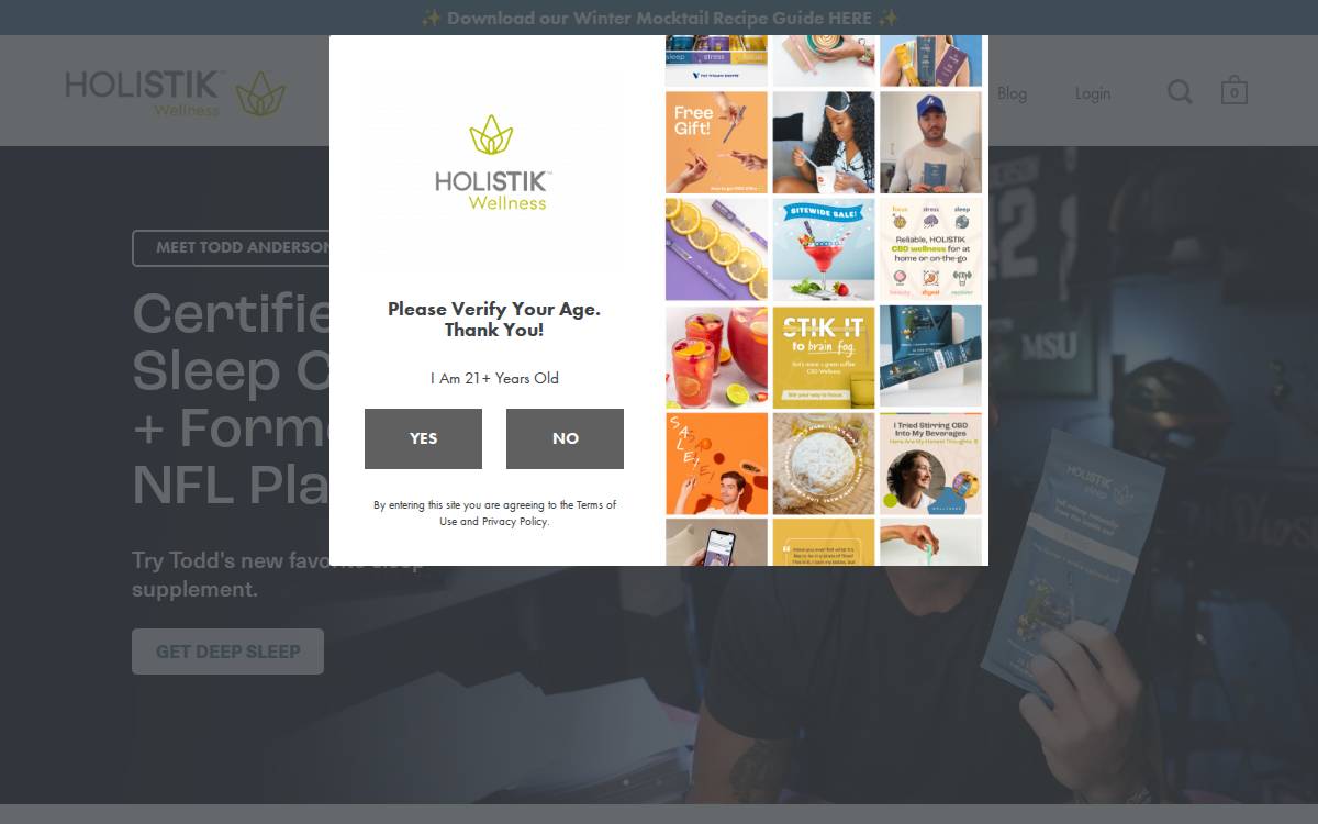 Holistik Wellness website preview