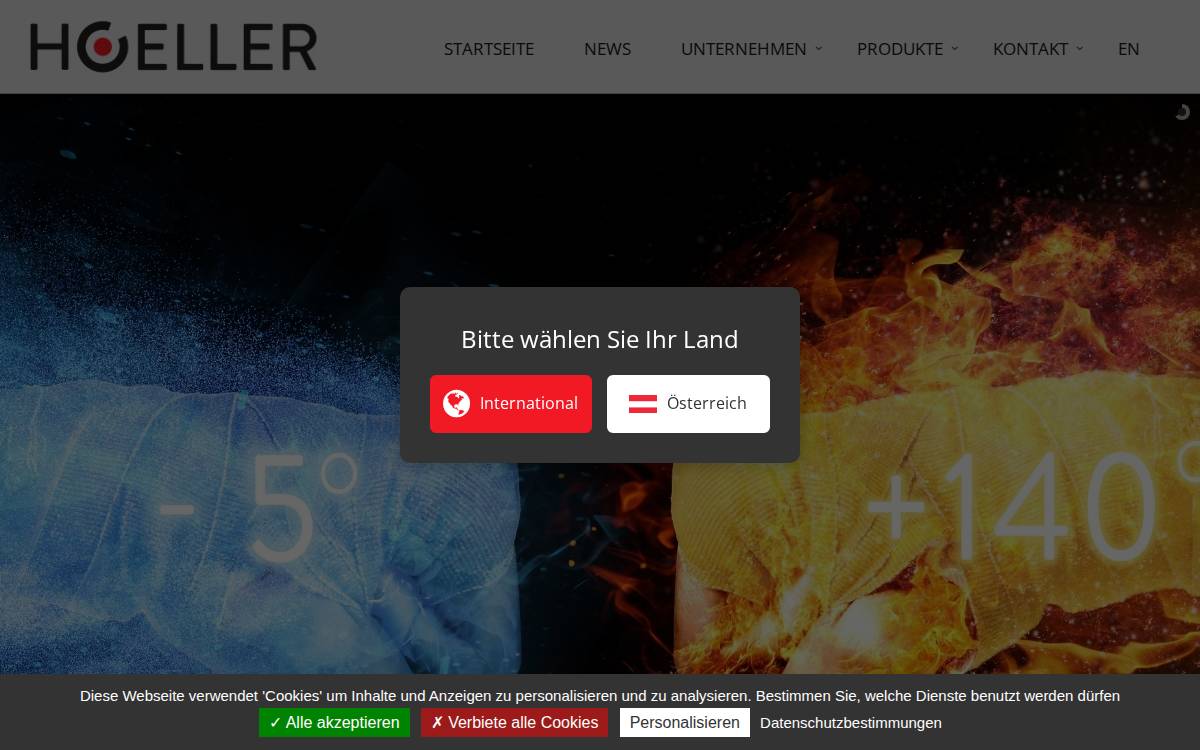 Höller Solutions website preview