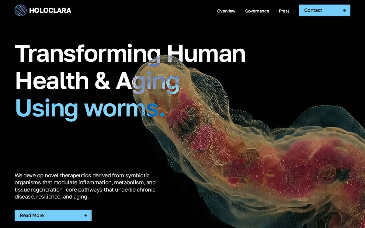Holoclara website preview