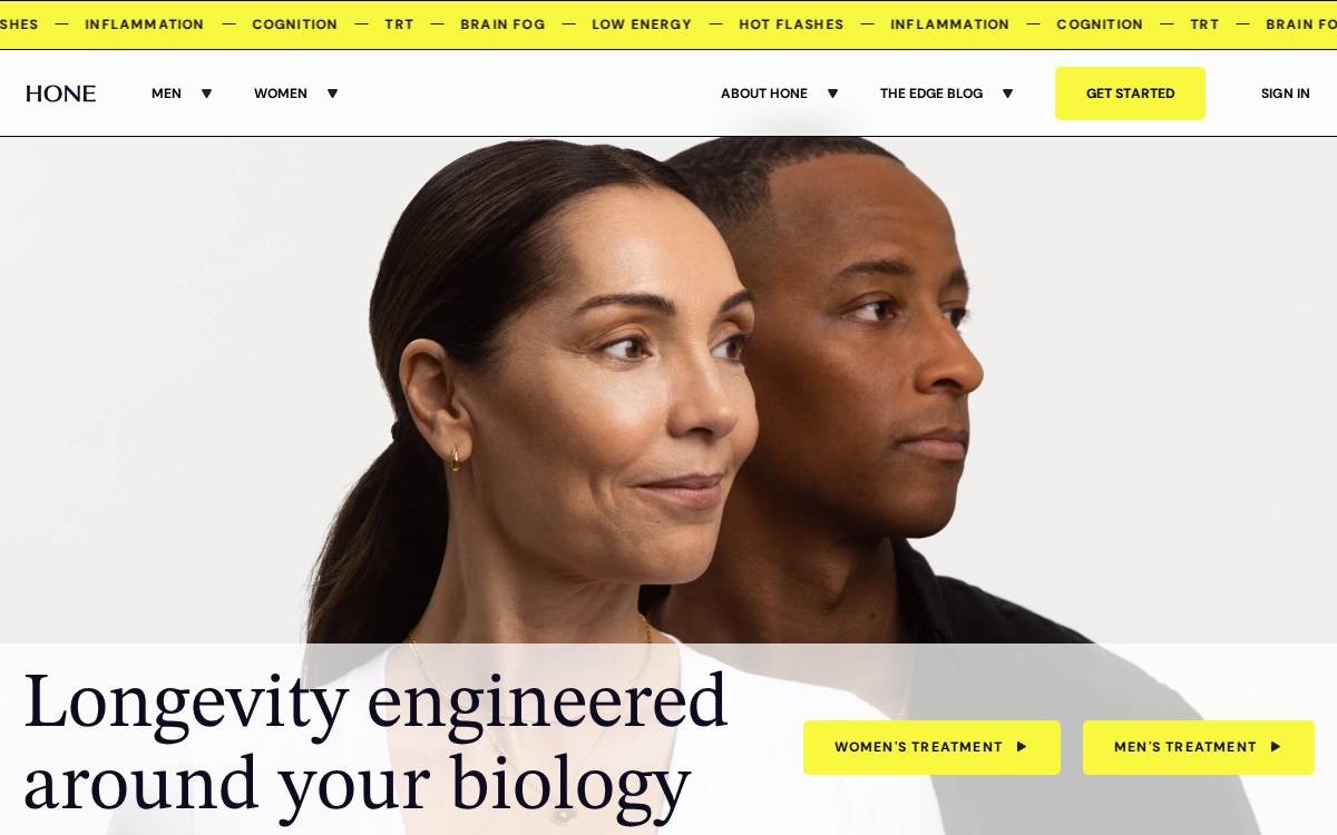 Hone website preview