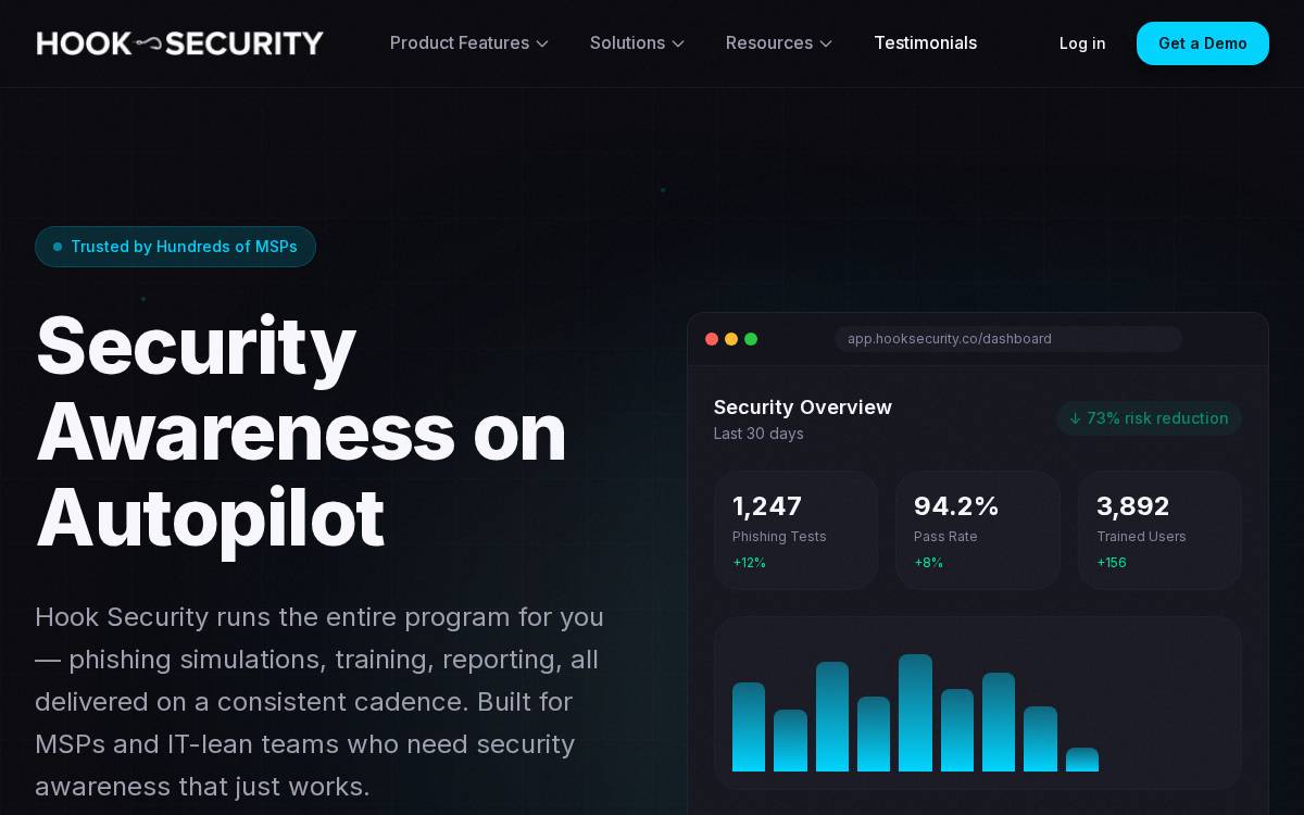 Hook Security website preview