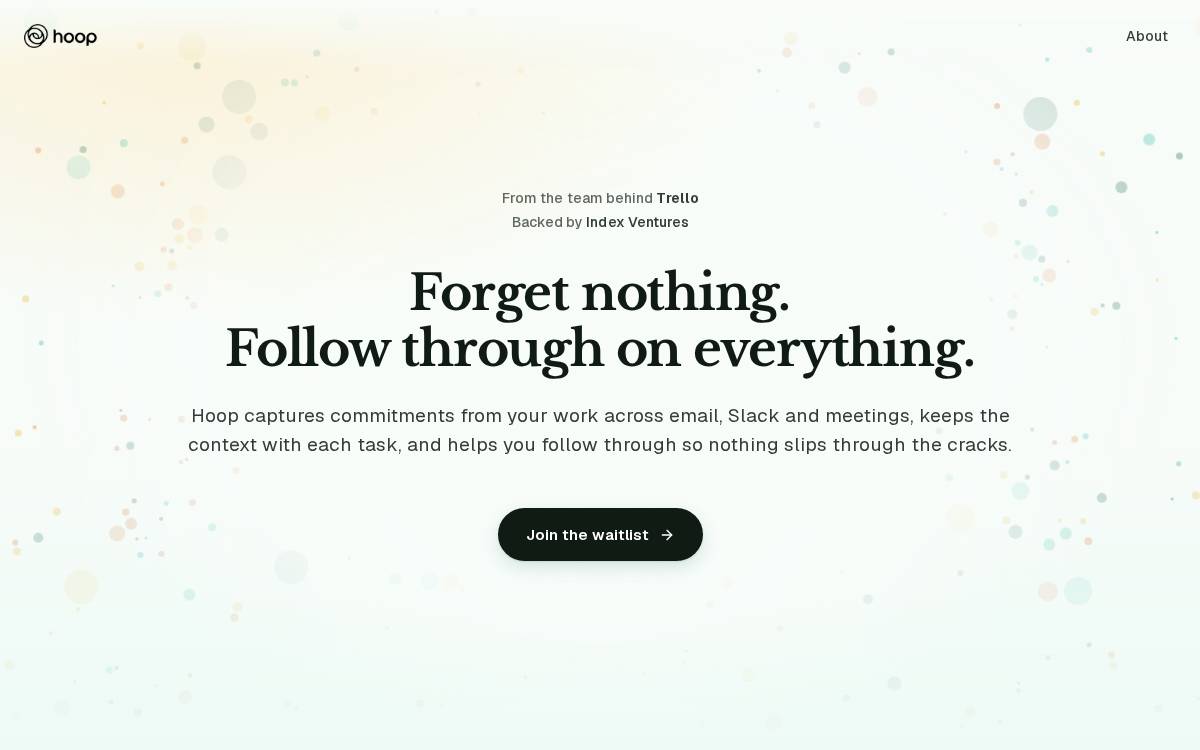 Hoop website preview