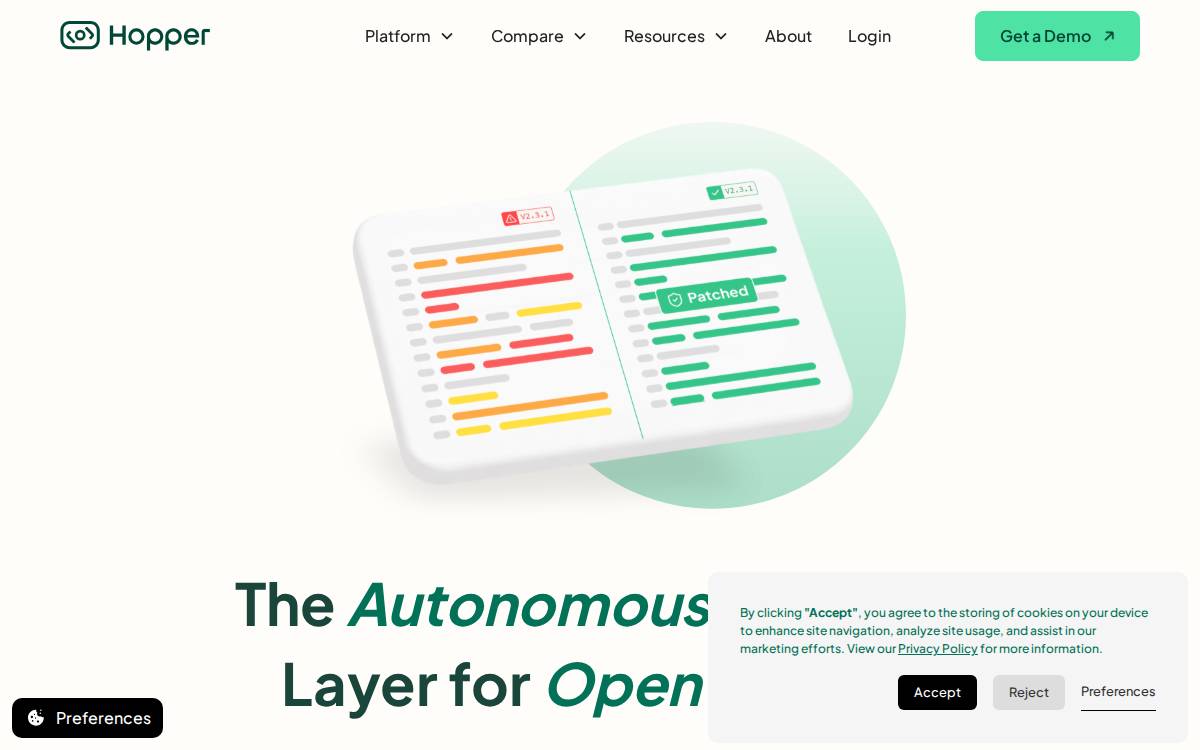 Hopper Security website preview