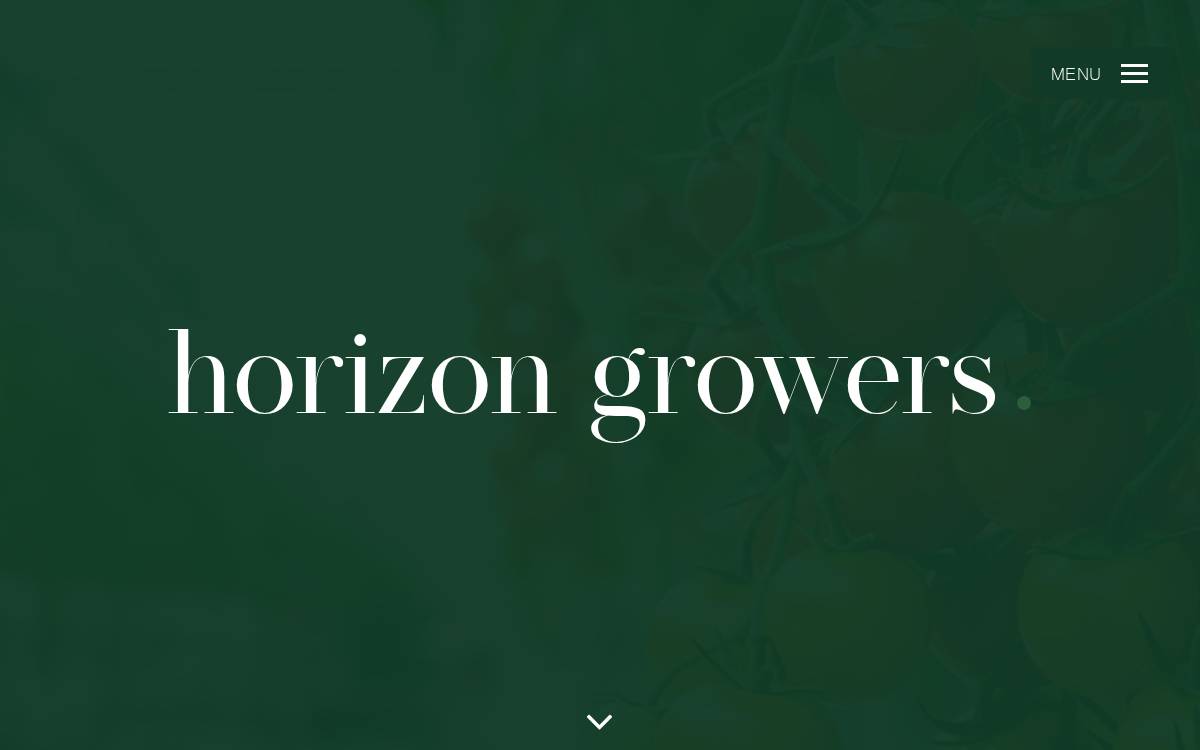 Horizongrowers website preview