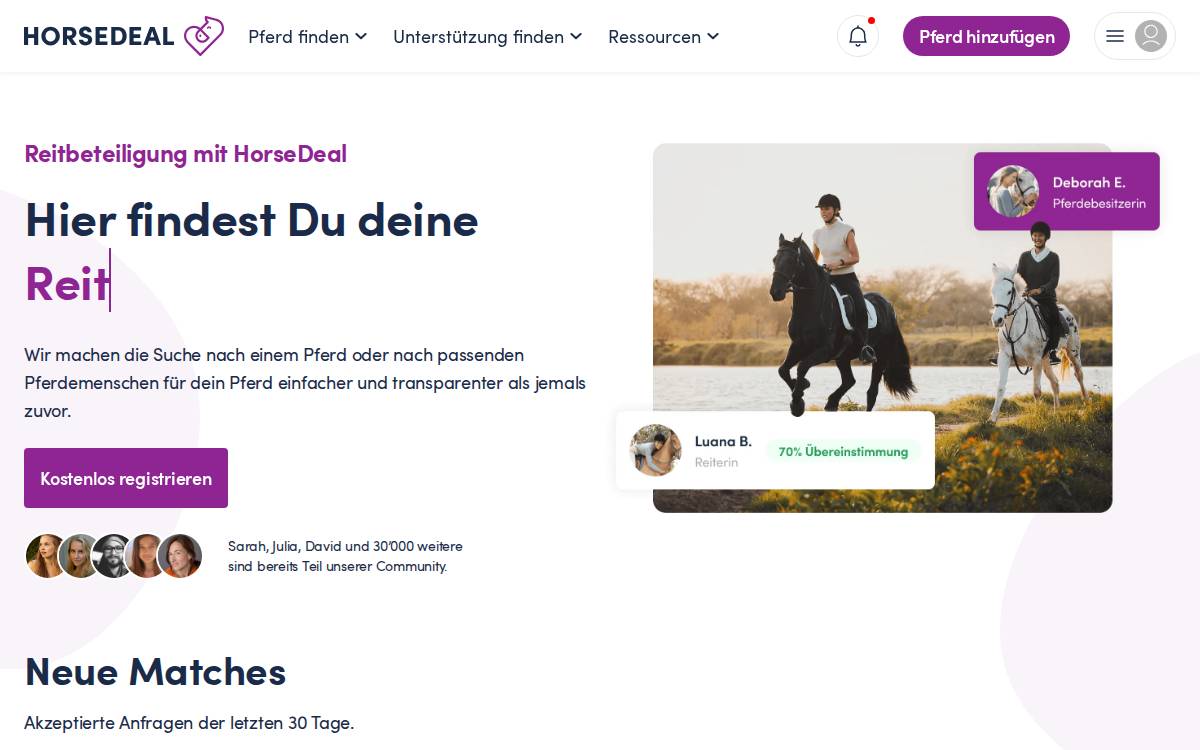 Horsedeal24 website preview