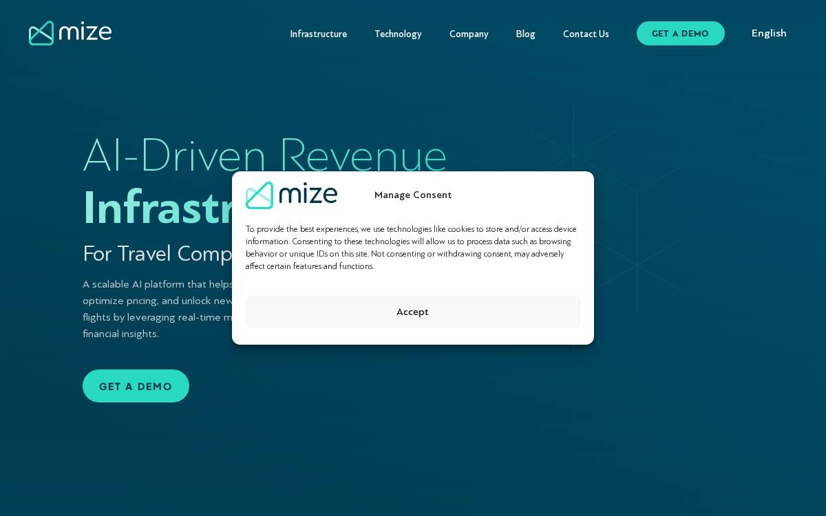 HotelMize website preview