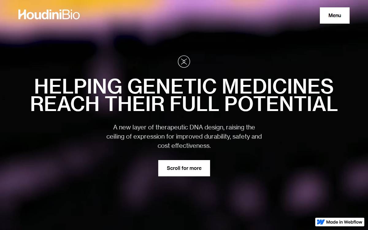 Houdini Bio website preview