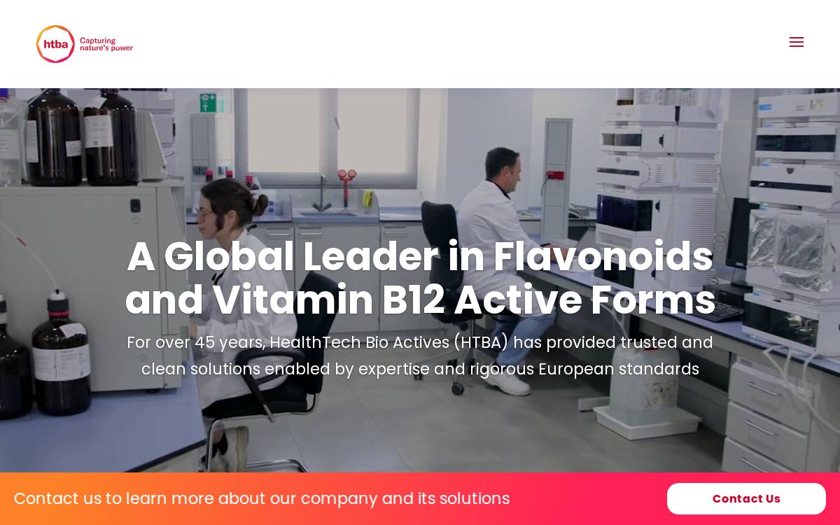 HTBA website preview