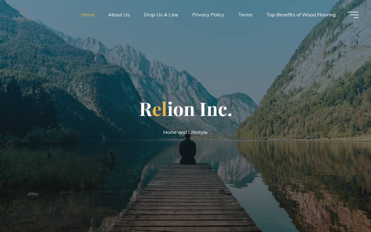 Relion Inc website preview