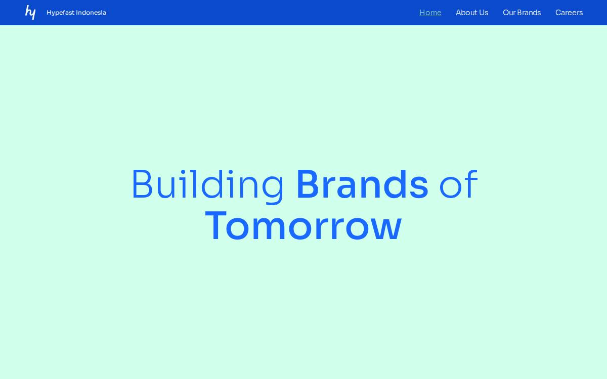 Hypefast website preview