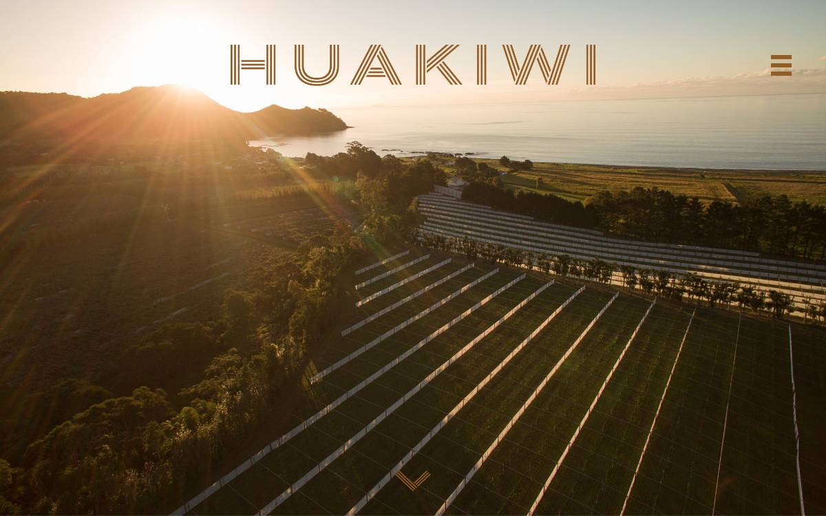 Huakiwi website preview