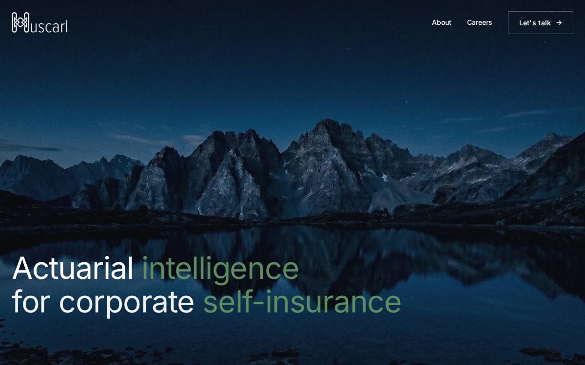 Huscarl website preview