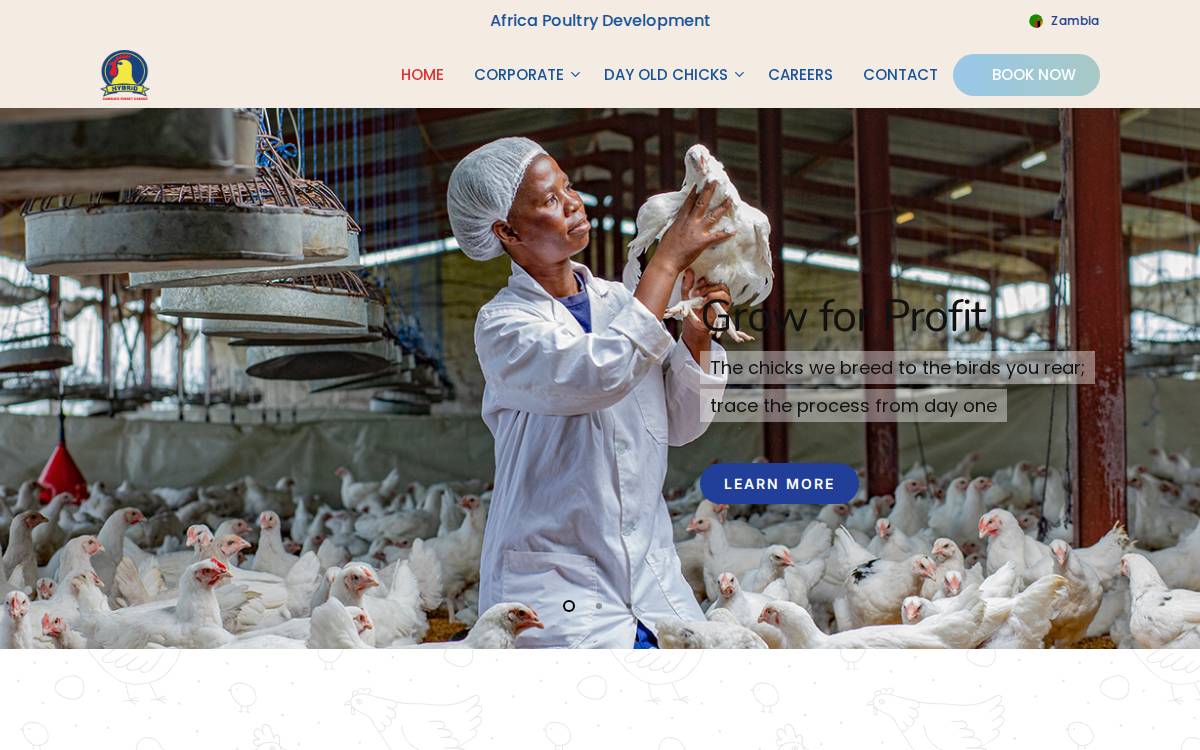 Hybrid Poultry website preview