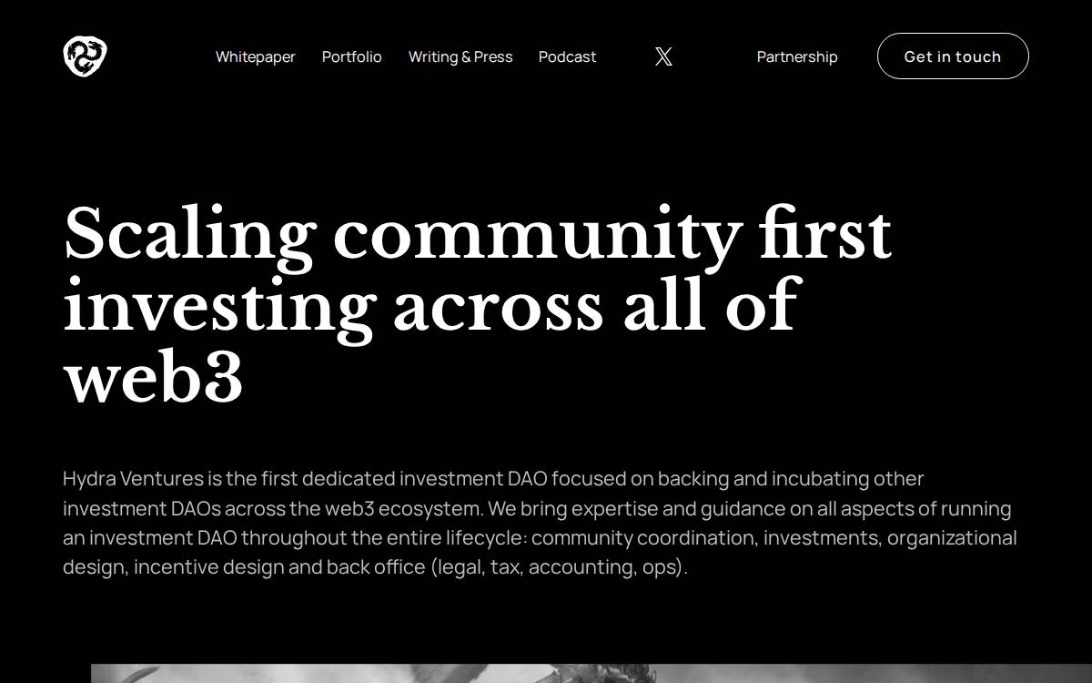 Hydra Venture DAO website preview