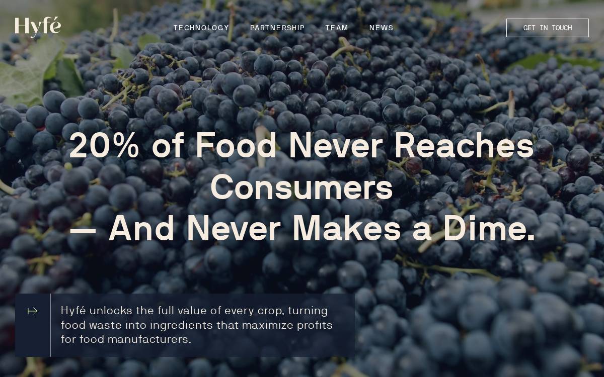 Hyfefoods website preview