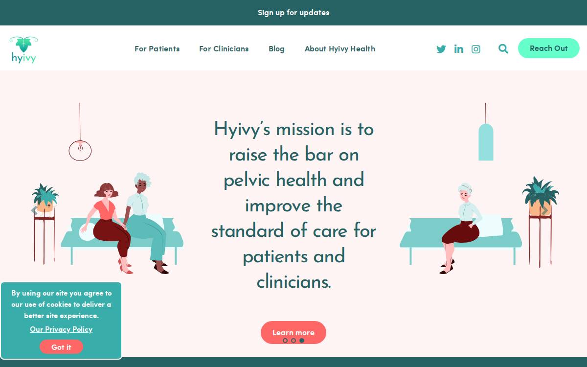 Hyivy website preview