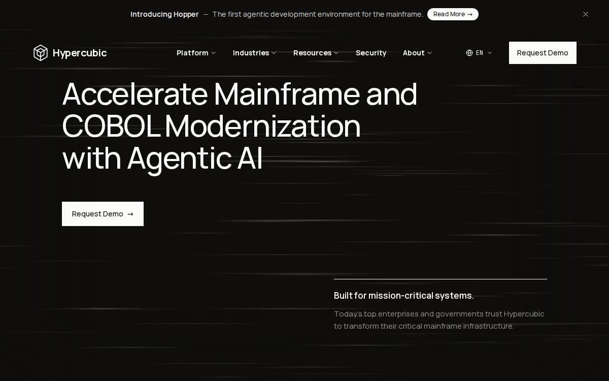 Hypercubic website preview