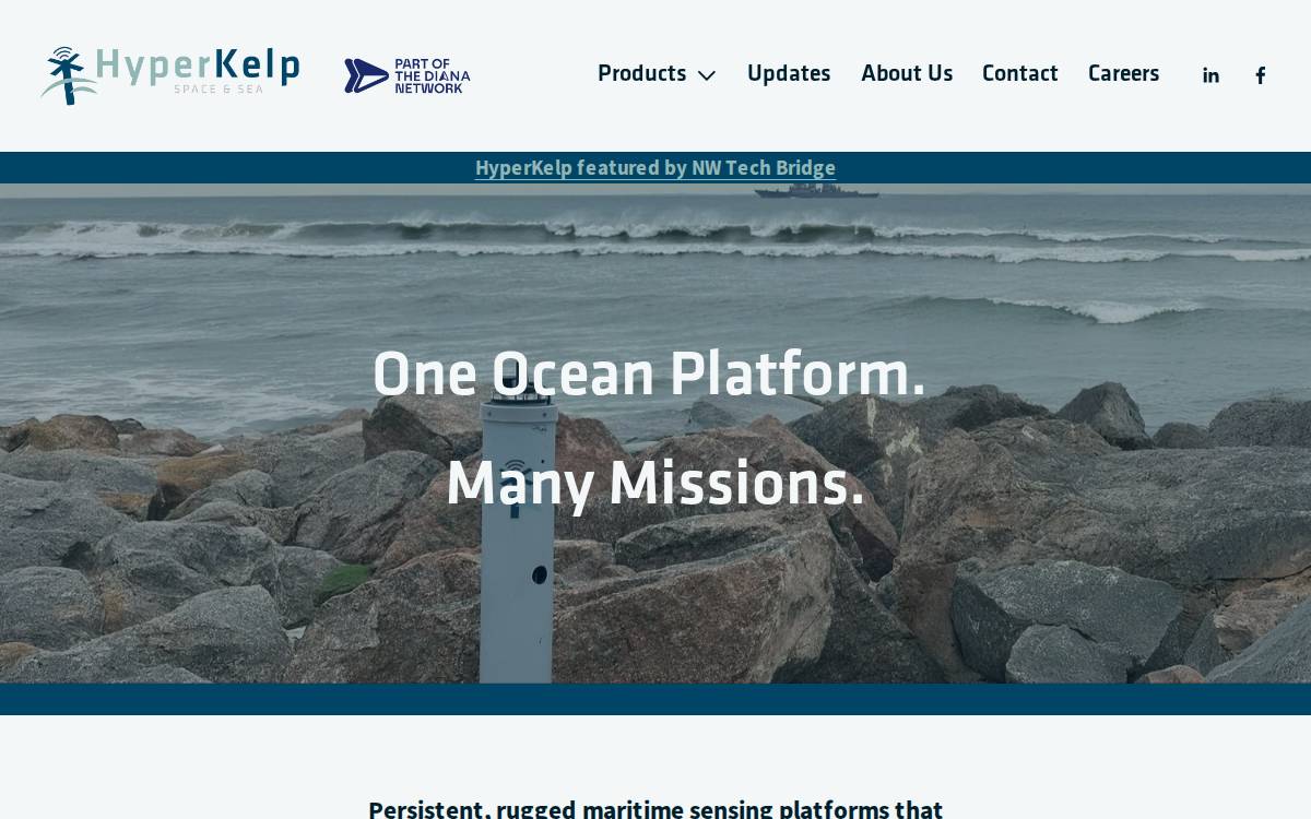 Hyperkelp website preview