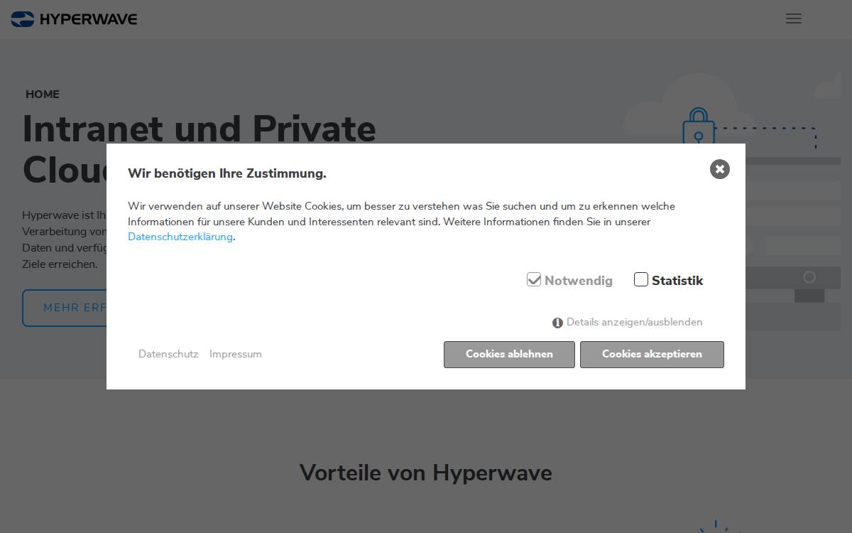 Hyperwave website preview