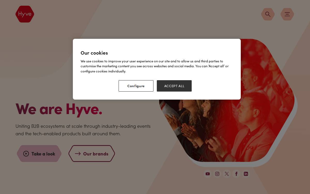 Hyve Group website preview