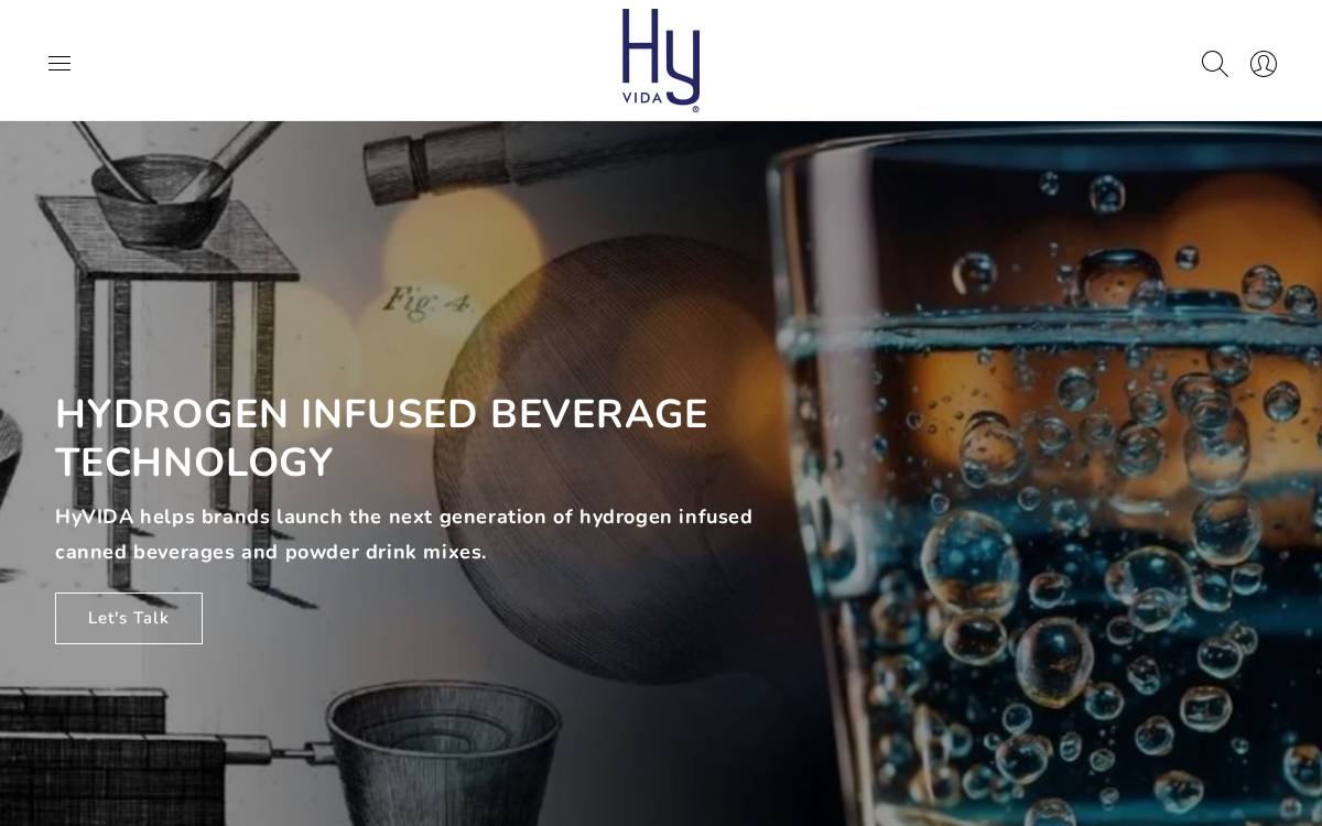 HyVida website preview