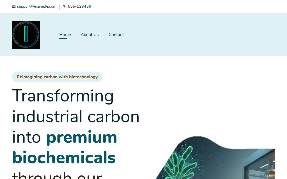 I Foundries website preview
