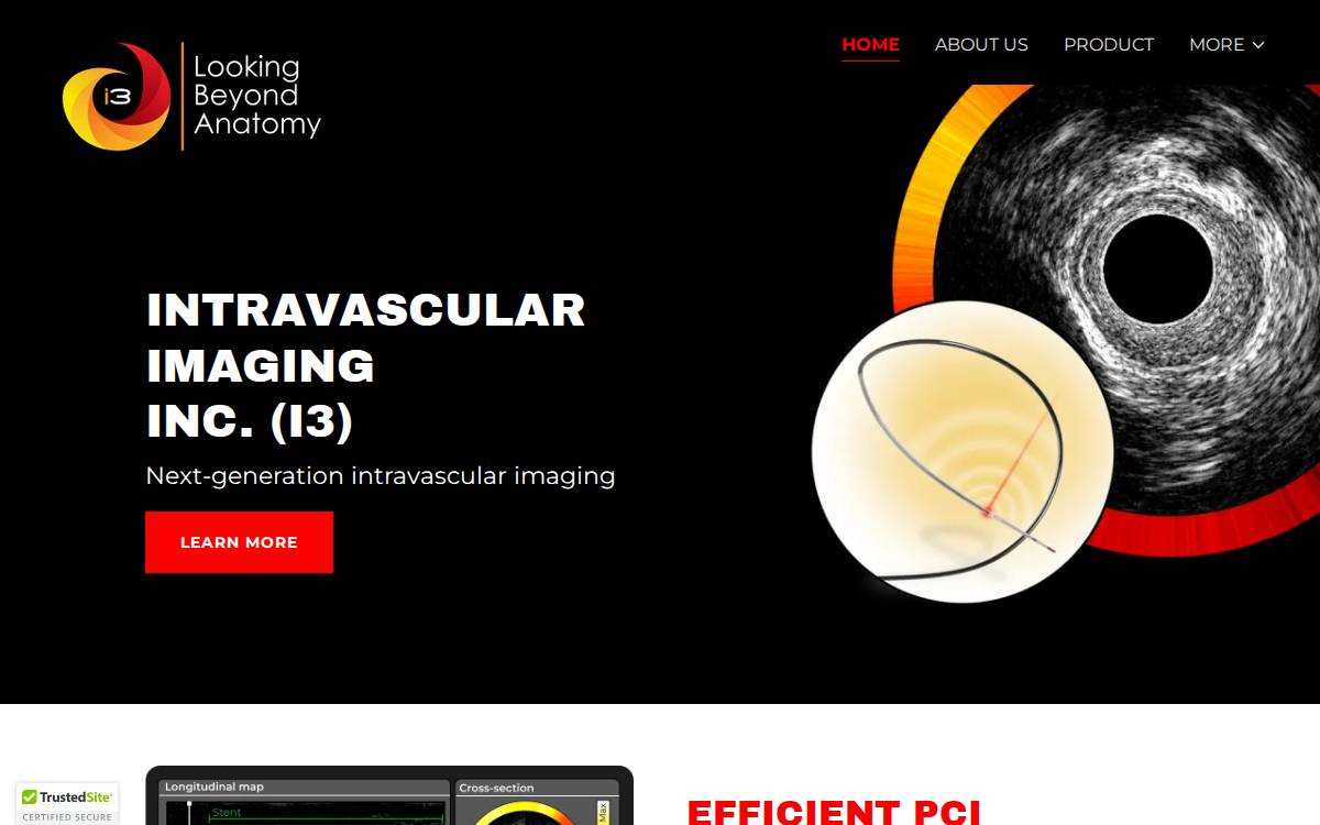 I3 Nirf website preview