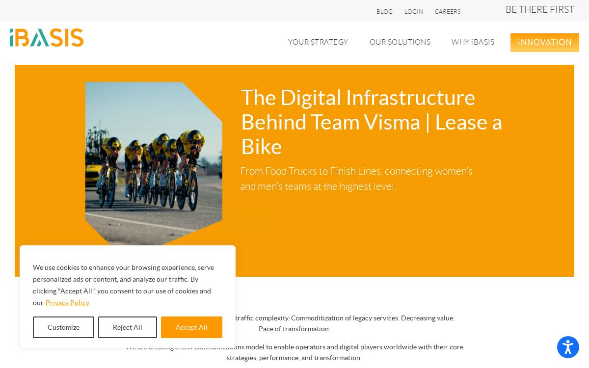 iBasis website preview