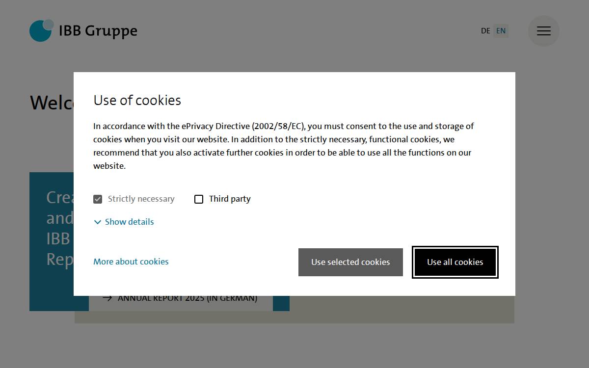 Ibbgruppe website preview