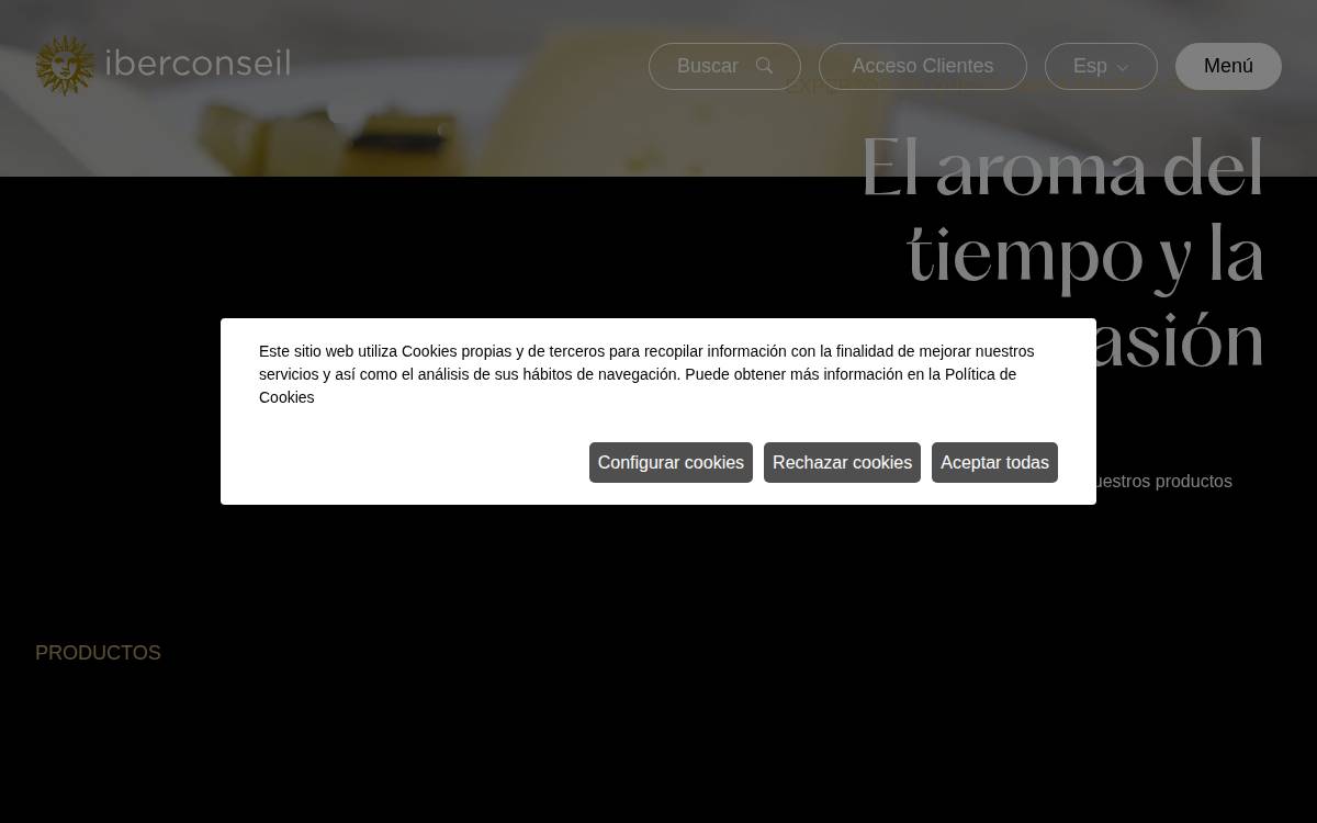 Iberconseil website preview
