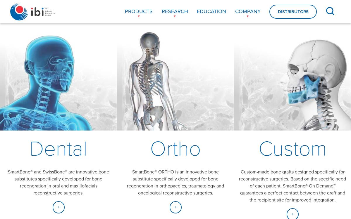IBI SA website preview