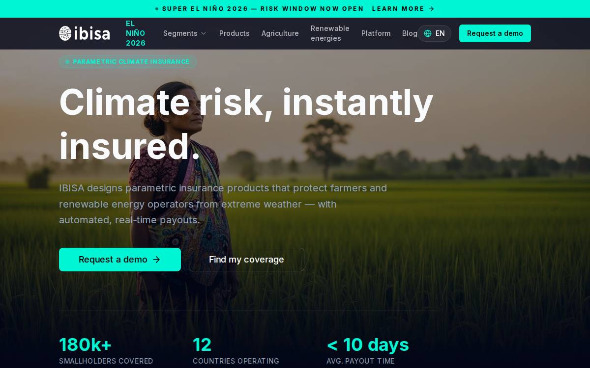 Ibisa website preview