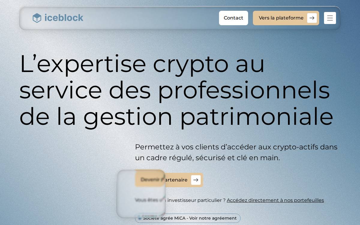 Ice Block website preview