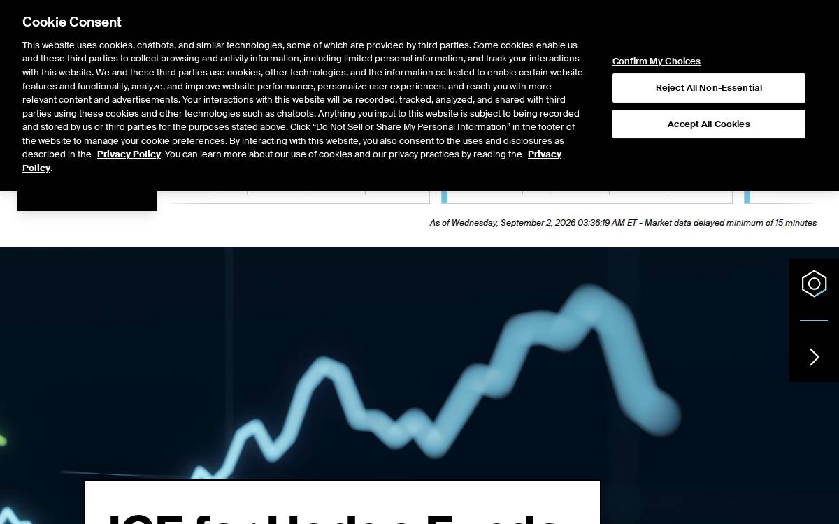 Ice website preview