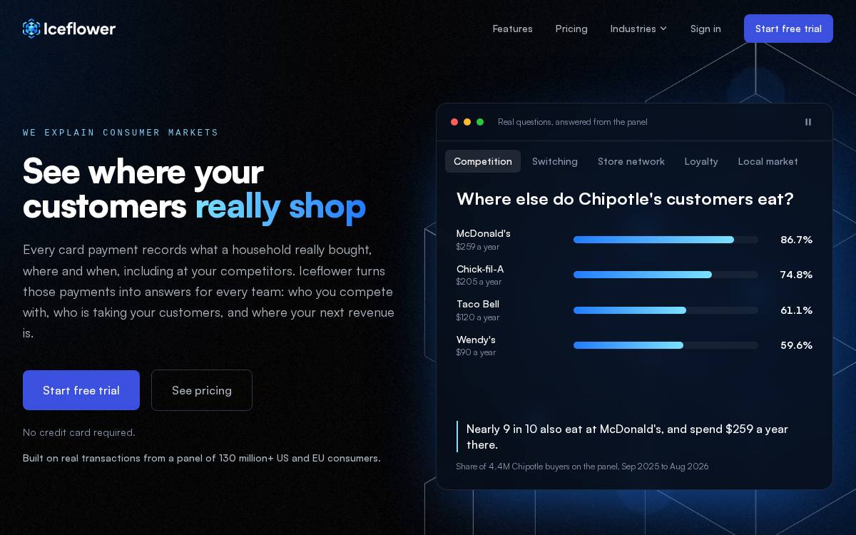 Iceflower website preview