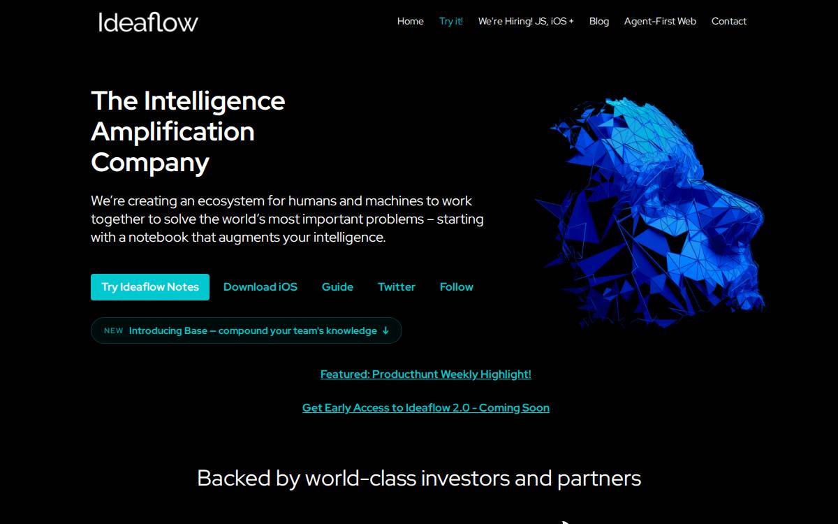 IdeaFlow website preview