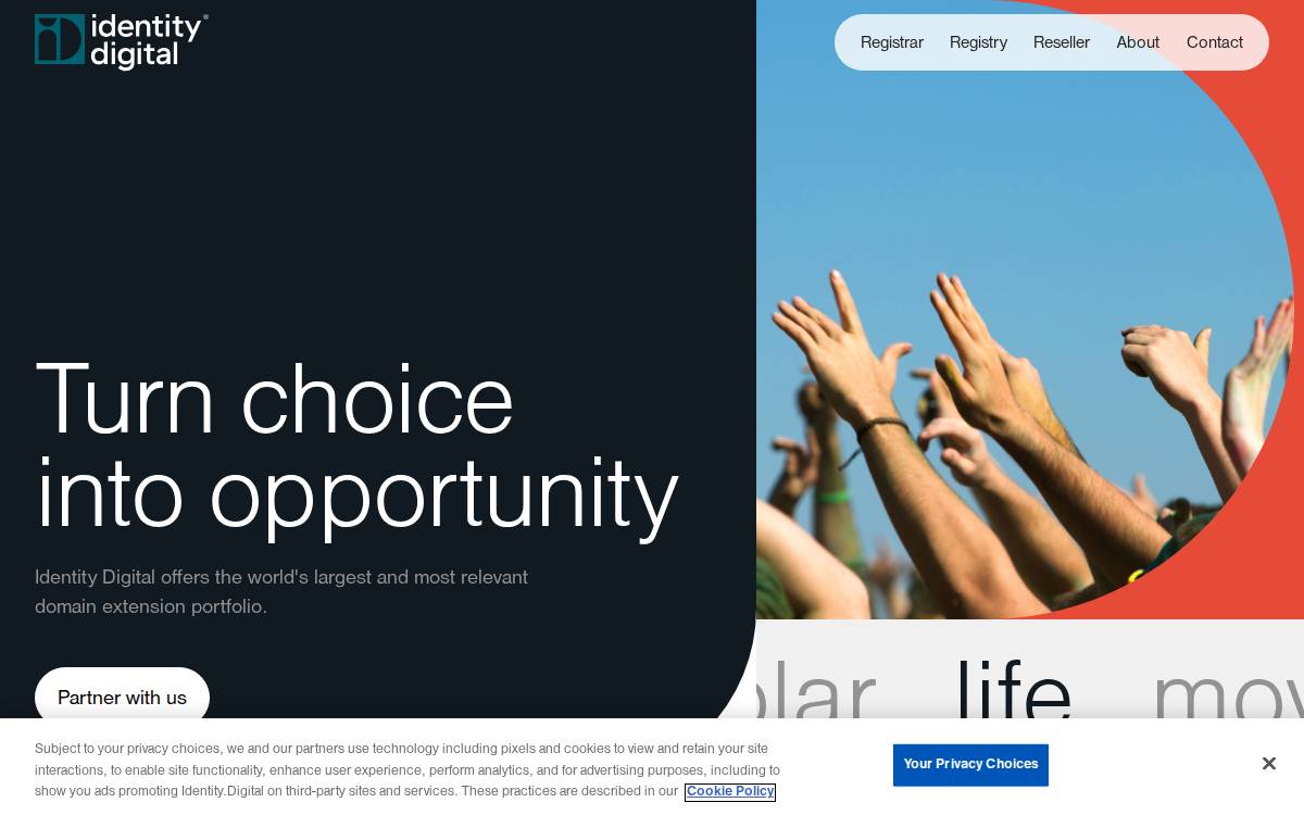 Identity website preview