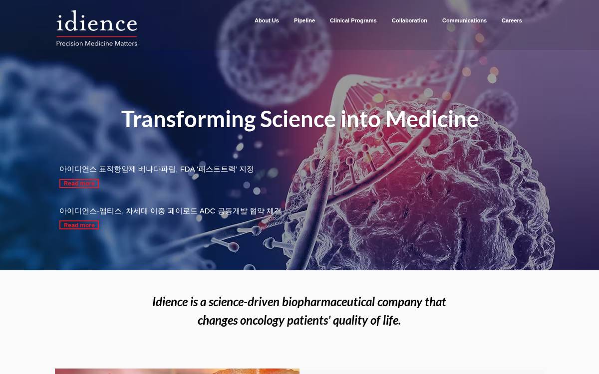 Idience website preview